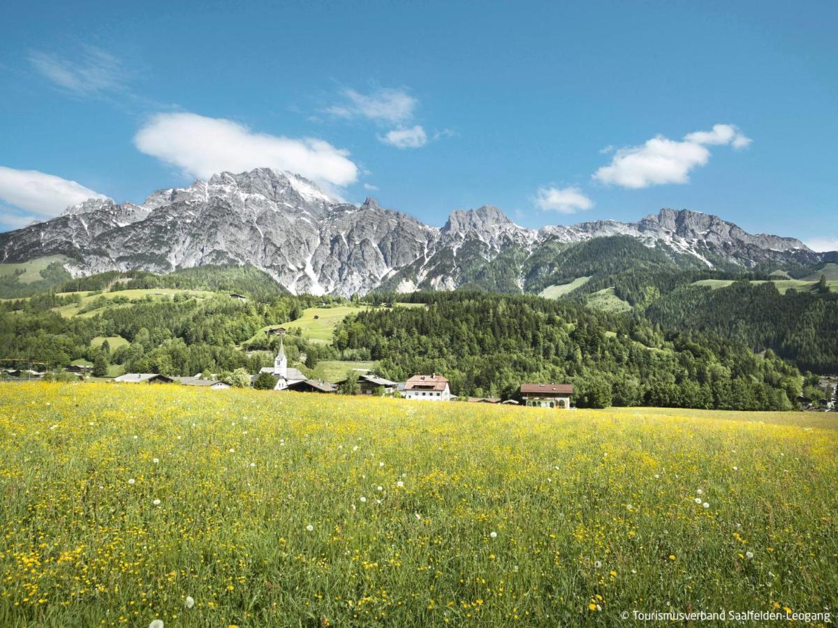 Apartment Kitzsteinhorn By Interhome Saalfelden Buitenkant foto